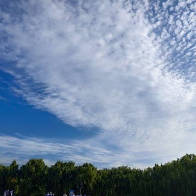 机锋龙纹三国官方下载